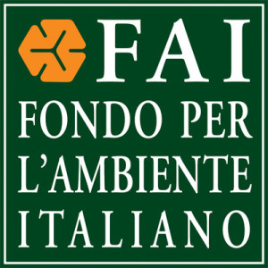 Logo-FAI